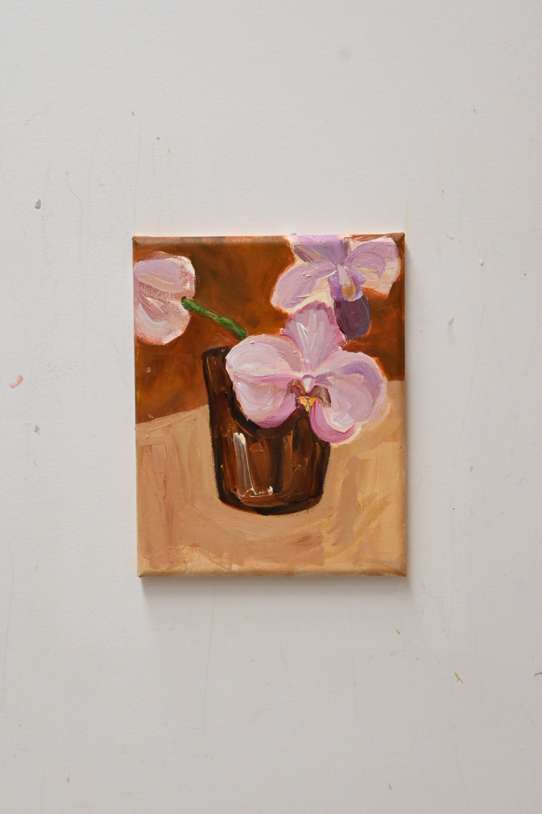 Pink Orchids