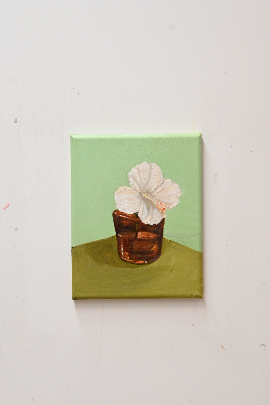 White Hibiscus