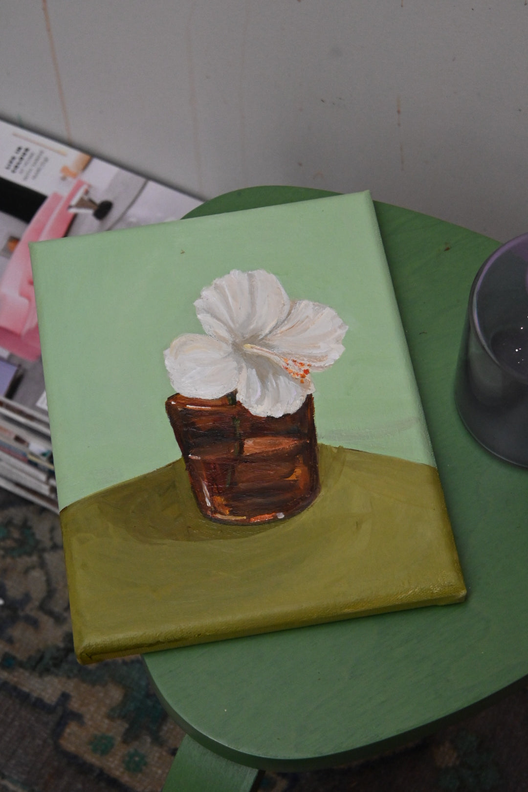 White Hibiscus