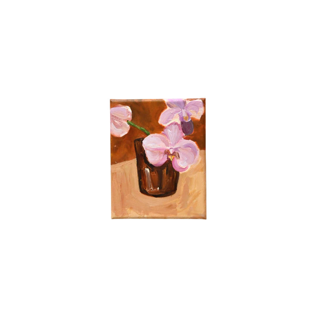 Pink Orchids