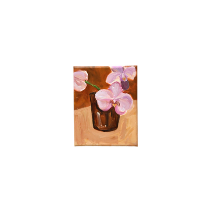 Pink Orchids