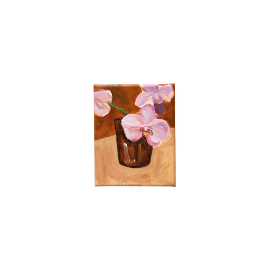Pink Orchids