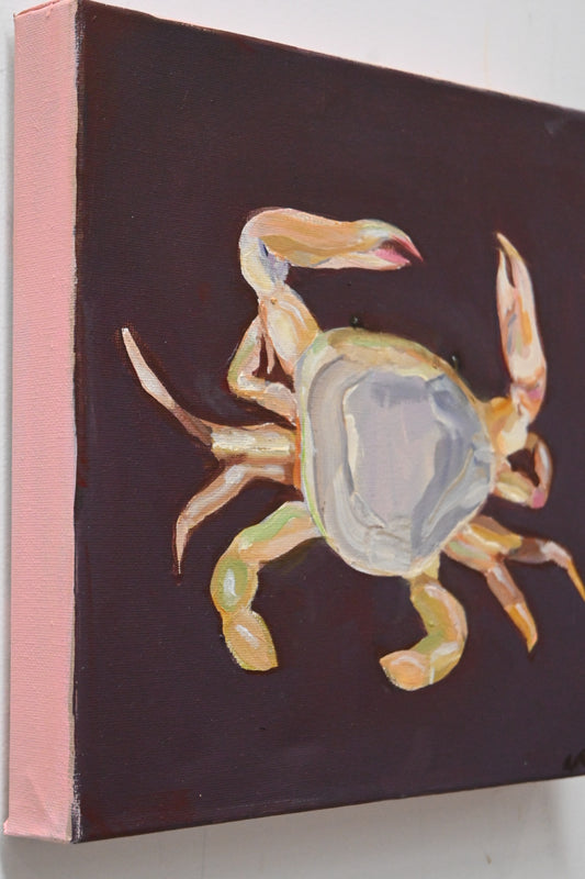 Lilac Crab