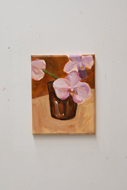 Pink Orchids