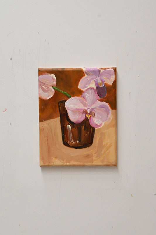 Pink Orchids