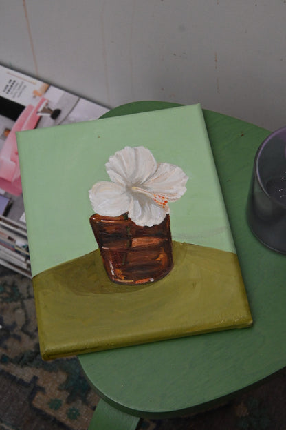 White Hibiscus