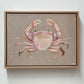 Pink Crab