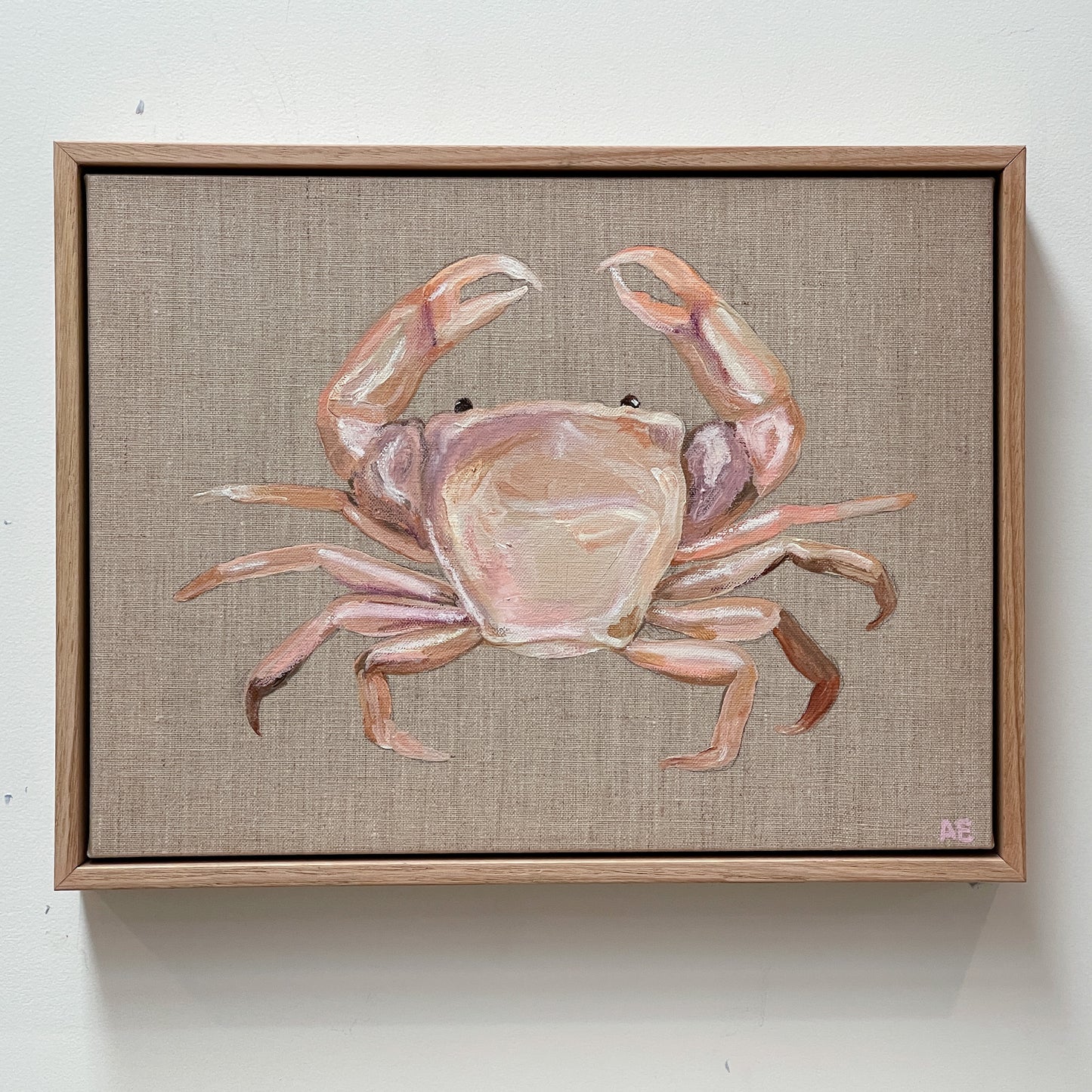 Pink Crab