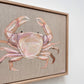 Pink Crab